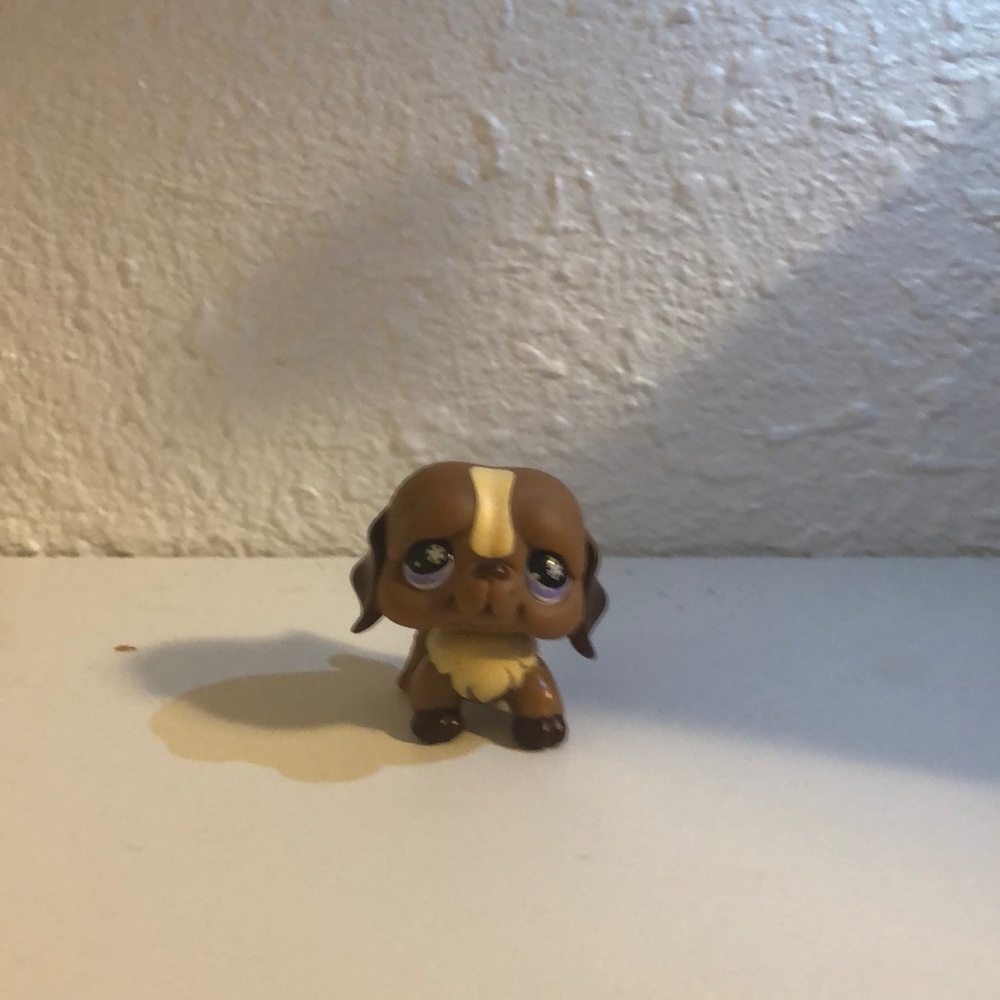 Lps dog